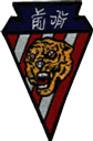 76th TFS patch